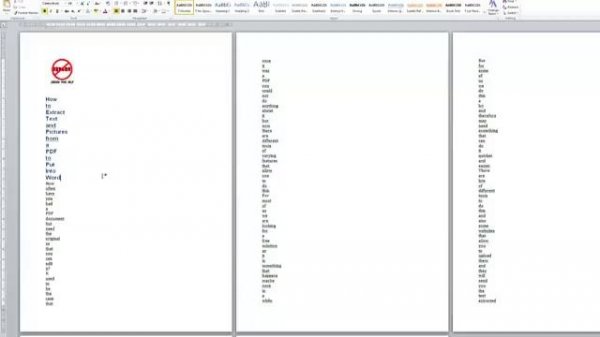 Convert PDF to Word - Windows Version