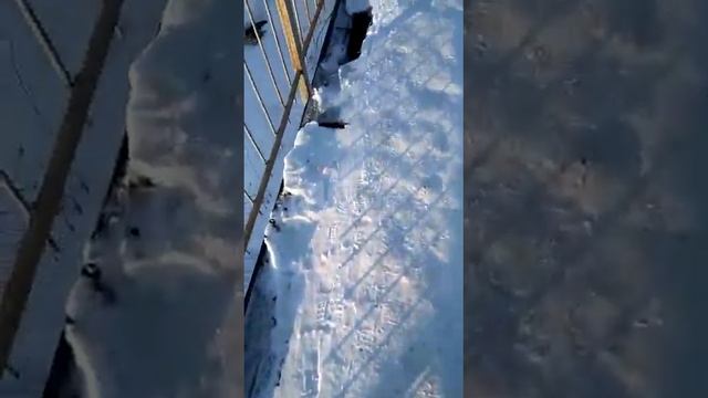 Южносахалинец измерил дыры на пешеходном мосту, по которому дети ходят до школы смотреть онлайн