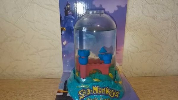 МОРСКИЕ ОБЕЗЬЯНКИ ARTEMIA SALINA