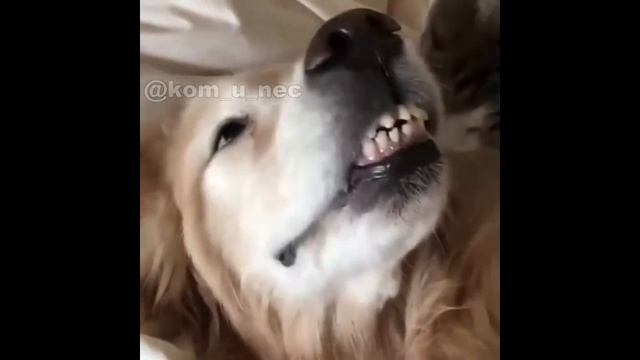 48 ЛИЗА ПОДЛИЗА смотреть онлайн