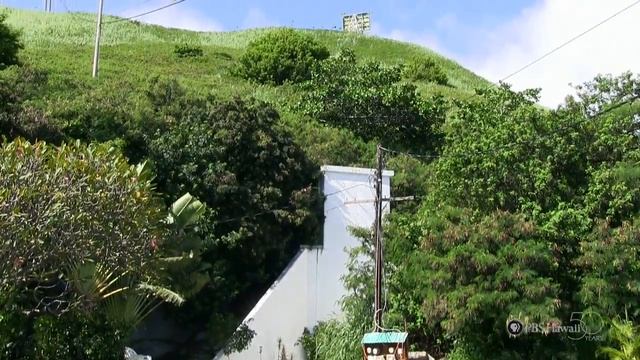 PBS Hawaii - HIKI NŌ | HIKI NŌ Can Do Festival 2015 | Full Program смотреть онлайн