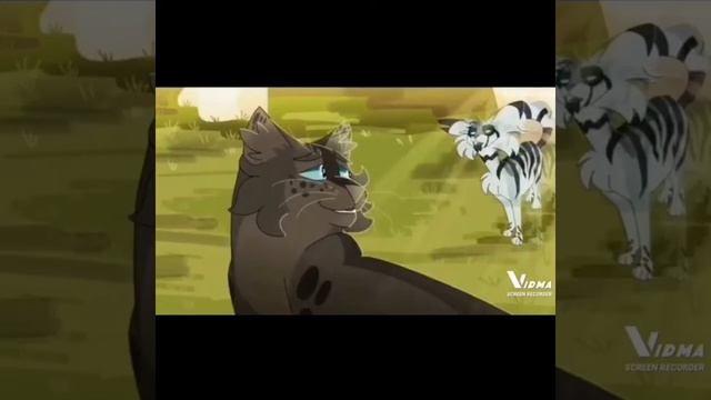 Коты воители Половинка луны и Воробей Клип Небо голубое солнце золотое Ответ пользователю НастяНаст смотреть онлайн