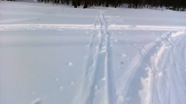 С горы по следу снегохода. Проехал под толстой веткой и не задел её. смотреть онлайн