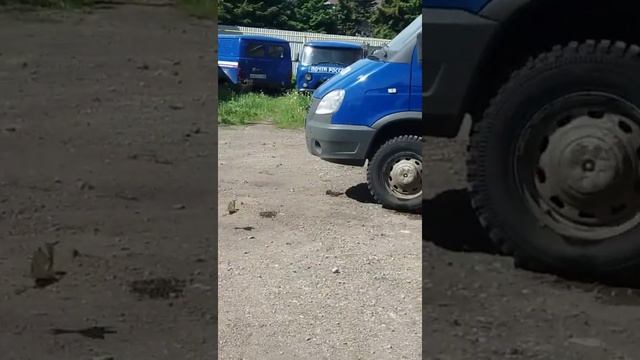 почта России смотреть онлайн