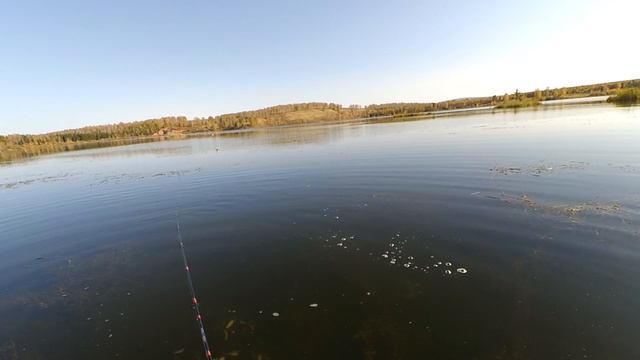 [Раухово] Такой огромной рыбы я еще не видел! Спасение утопающей. смотреть онлайн