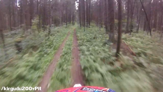 Покатушка #37 Лес смотреть онлайн