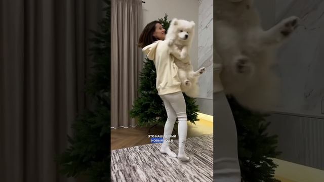 #доммечты #доммилыйдом #новыйгод