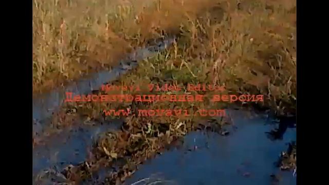 на что способен МТ-10, смотреть онлайн