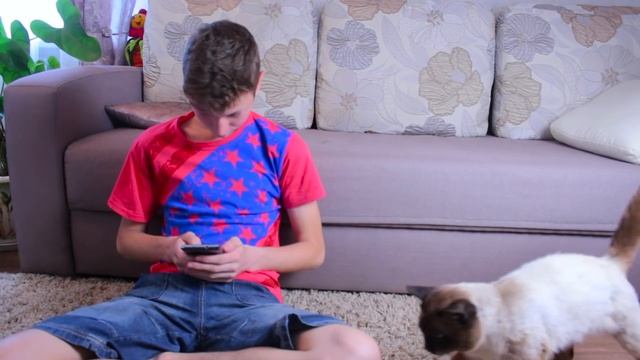 ТИПЫ ЛЮДЕЙ С ЖИВОТНЫМИ смотреть онлайн