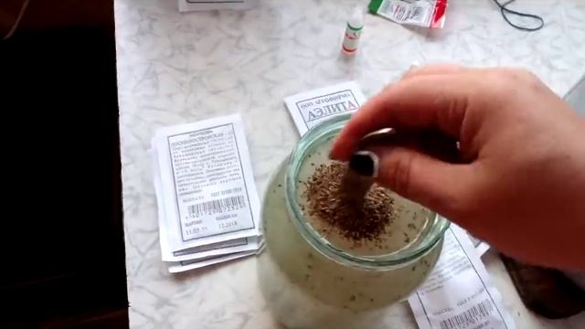 Морковь. Посадка моркови. Быстрые всходы моркови. смотреть онлайн