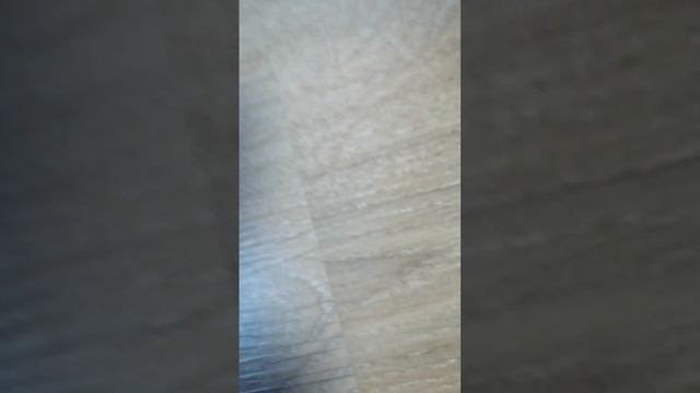 РЕДКИЕ МОНЕТЫ смотреть онлайн