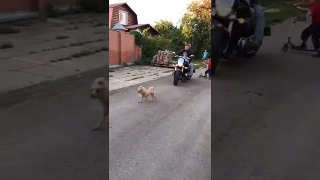 M109R смотреть онлайн