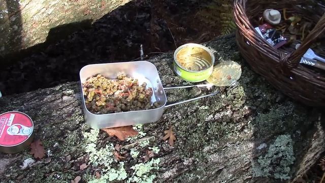 Field Testing The IRP-P Daily Ration - A Day In The Forest смотреть онлайн