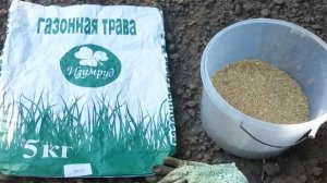 Пора сеять ГАЗОН. Сею МЯТЛИК