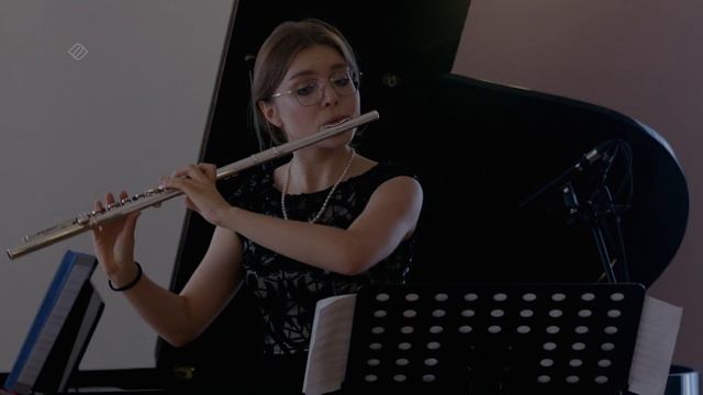 S. Mercadante- Flute Concerto in E minor - Malgorzata Ludwiniak смотреть онлайн