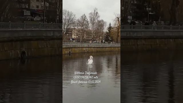 Присоединяйтесь.... смотреть онлайн