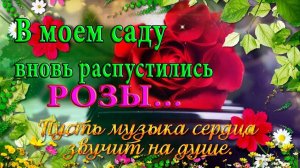 РОЗЫ *  Мой сад
