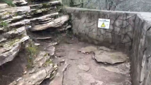 Самшитовая роща гуляем по малому маршруту смотреть онлайн