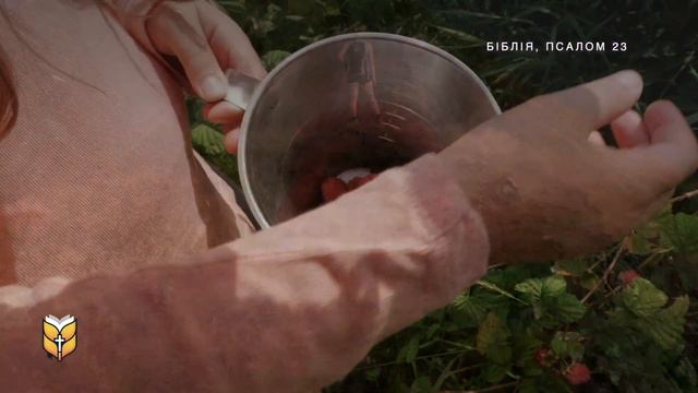 Псалом 23. Біблія жіночим голосом смотреть онлайн