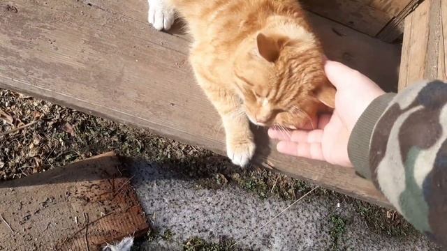 Закончилась зима! Прогулка с малышом. Хозяйственные дела. Весенние хлопоты. смотреть онлайн