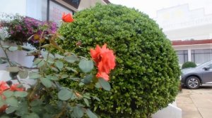 ОТЕЛИ  БЭЙДАЙХЭ- ЗОЛОТАЯ ГОРА, ОТЛИЧНИКОВ ТРУДА, Open - БЭЙДАЙХЭ 北戴河