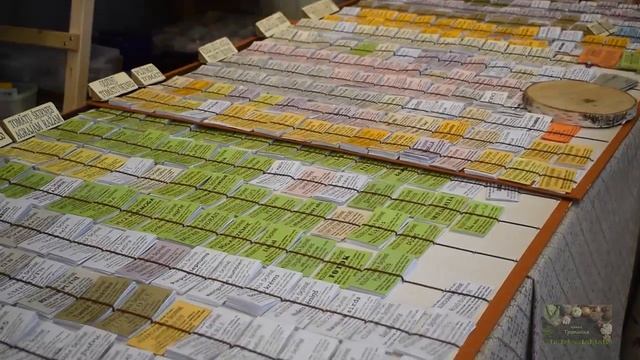 Выставка тыквы в Риге .Что выросло у меня. 2019 смотреть онлайн