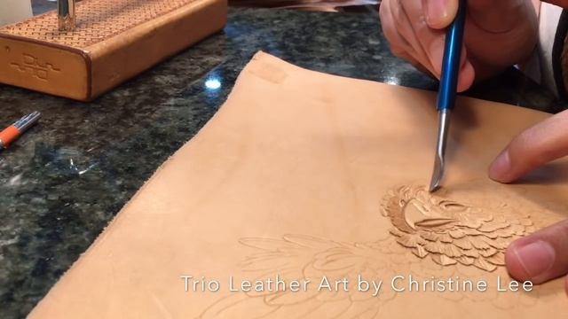 Harpy Eagle смотреть онлайн