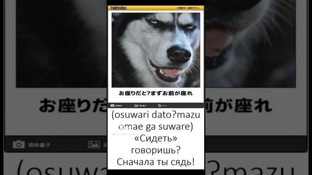 мемы на японском языке №5 (японский язык по мемам)