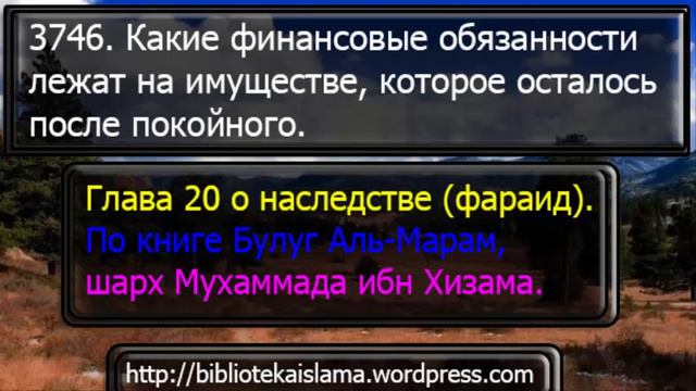 3746 Какие финансовые обязанности лежат на имуществе, которое осталось после покойного смотреть онлайн