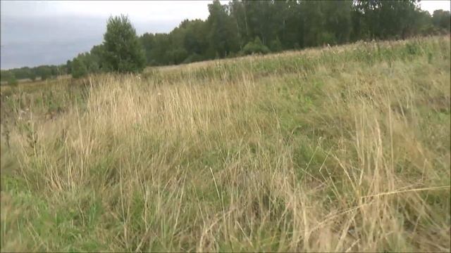 СЕРИАЛ/Рыбалка на Урале с Москвичами/СЕРИЯ 4 смотреть онлайн