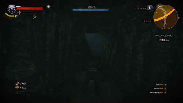 Let's Play The Witcher 3 Wild Hunt - Episode 63: Morkvarg The Werewolf смотреть онлайн