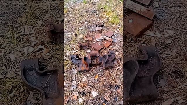 В лесу нашёл такое! смотреть онлайн