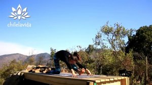 Йога для продолжающих - Интенсив Виньяса Йога 60 мин _ Йога chilelavida