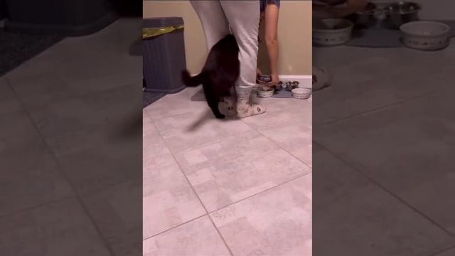 Нетерпеливость смотреть онлайн