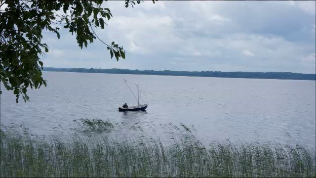 Отдых на Андозере Белозерский район Вологодской области