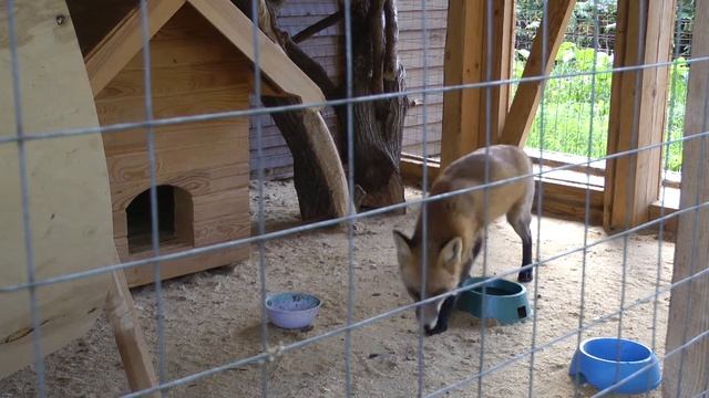 Серая Лошадь / Природный парк смотреть онлайн