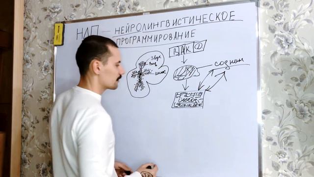 Моя интерпретация НЛП. Как это работает и почему? Возможности НЛП. Изменение убеждений. смотреть онлайн