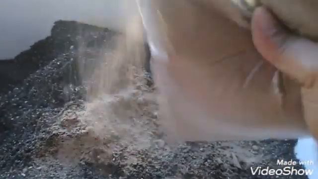 Passo a passo do meu substrato + replante Echeveria suyon смотреть онлайн