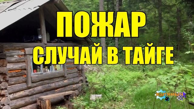 0820 - СЛУЧАЙ В ТАЙГЕ _ ЛЕСНОЙ ПОЖАР - ВЕРХОВОЙ _ ПРИЧИНЫ ЛЕСНЫХ ПОЖАРОВ _ОХОТНИК И ЛОСЬ ТУШАТ.mp4 смотреть онлайн