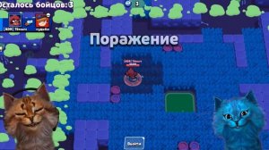 КОТИК ИГРОМАН ПРОТИВ КОТЁНОК ЛАЙК! ЧЬЯ КОМАНДА СИЛЬНЕЕ? БРАВЛ СТАРС