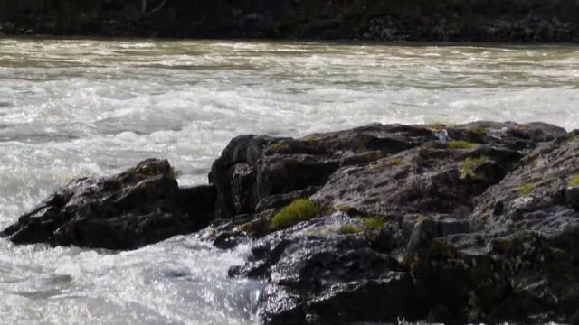 Катунь полноводная смотреть онлайн