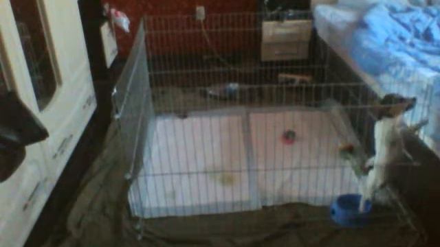 Capture 20150327 1 смотреть онлайн