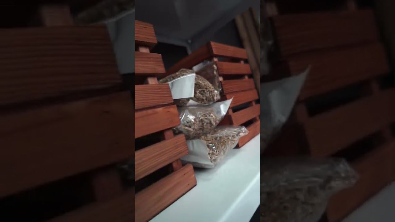 Готовим к открытию магазин детейлинга и тюнинга в Москве. смотреть онлайн