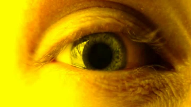 Leaves' Eyes - Symphonies Of The Night (2013)