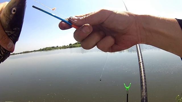 Кемеровская рыбалка.Поплавок 2018. смотреть онлайн