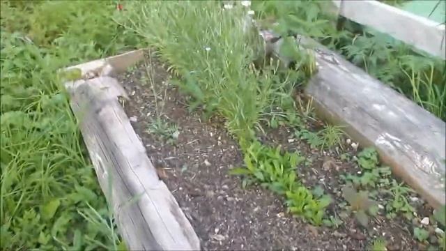 Мои цветы./ Делаю трубу на печке ./ смотреть онлайн