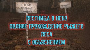 сталкер возвращение в зону Воспоминание Лестница в небо рыжий лес полное прохождение