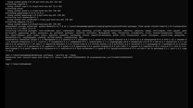 Use Databricks out of Databricks with dbx by Databricks Lab смотреть онлайн