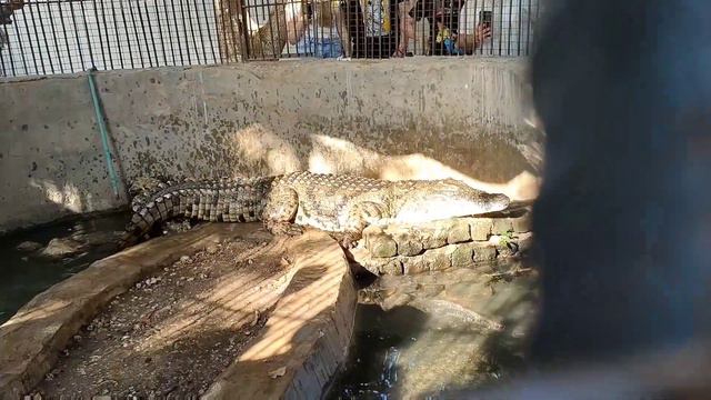 Я был на экскурсии в 4 храмах и это видео про них! смотреть онлайн