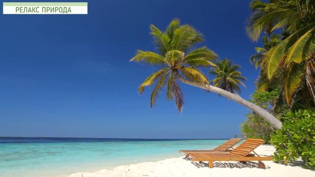 Красивый тропический остров на котором очень хочеться отдахнуть. смотреть онлайн